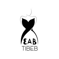 Yeab Tibeb logo - Similar company to Gishen Pharmacy