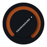 Promosoundgroup.net logo - Similar company to Dworkz