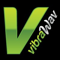 VibraWav logo - Similar company to Gnarly Mountain Cookies