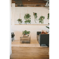 Cultivate: A Counseling Collective logo - Similar company to Pacific Integrative Therapy