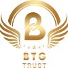 BTG Trust logo - Similar company to Hoisst