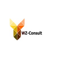 YWZ-CONSULT logo - Similar company to Cap Digital Performance