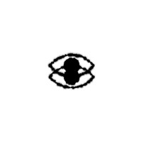 Eyeport Creative logo - Similar company to Coffee Star