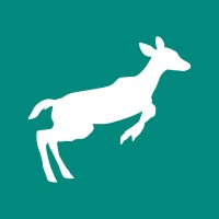 DataDoe logo - Similar company to Deltologic | Software For Marketplace Sellers