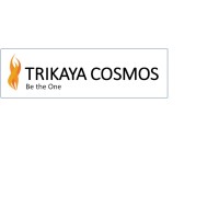 Trikaya Cosmos logo - Similar company to Trikaya Cosmos Pvt. Ltd.