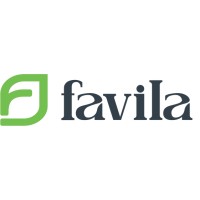 favila logo - Similar company to Grupo Gestão Smart