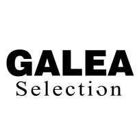 GALEA SELECTION logo - Similar company to Dissidi - Ébénisterie D'Art