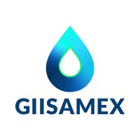 GIISAMEX logo - Similar company to Master Blowers Sa De Cv