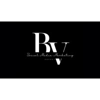 Bold Vision Agency logo - Similar company to The Newgrange Hotel