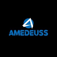 Amedeuss logo - Similar company to Intelligraph, Inc.
