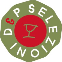 D&P Selezioni logo - Similar company to Design Market