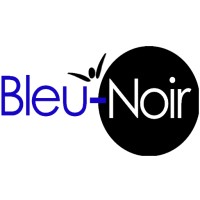 BLEU-NOIR SARL logo - Similar company to Buro Store