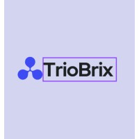 TrioBrix logo - Similar company to Bin Tech Solutions