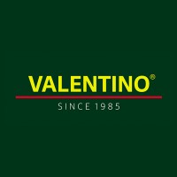 Valentino India logo - Similar company to Sarv Management Llc