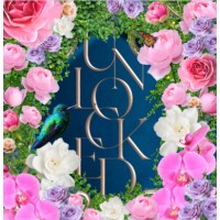The Unlocked Foundation