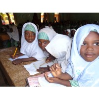 Nigeria Partnership for Education Project NIPEP/GPE logo - Similar company to Passionview Solutions Limited