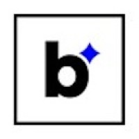 Bleach Security logo - Similar company to Hi-Sec