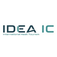 IDEA IC
