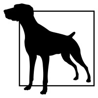 Animal Transit Boxes Ltd logo - Similar company to Bad Monkey Conversions