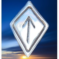 Fraud & Corruption and  Intelligence SME logo - Similar company to Offense Crest