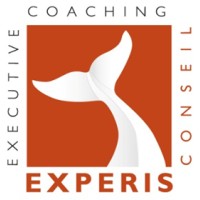 Experis Conseil logo - Similar company to Flying Tek