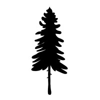 Fir Grove Games AB logo - Similar company to Kodcentrum