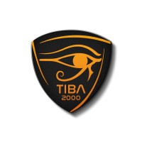 TIBA2000 logo - Similar company to Instituto Complutense De Análisis Económico (Icae)