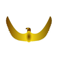 Paleocardiology Foundation