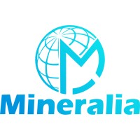 Mineralia Impex Pvt Ltd logo - Similar company to Flix - Xlri