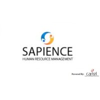 Cartel IT Solutions LLC