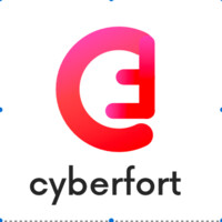 Cyberfort Latvia logo - Similar company to Semantic Intelligence