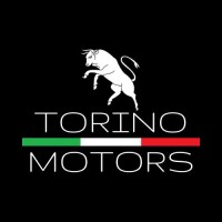Torino Motors BH logo - Similar company to Torino Motors