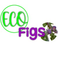Eco Figs Fruits logo - Similar company to Iberica Fruit Cooperation