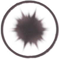 SUNFLWR Agency logo - Similar company to Folk'D Up