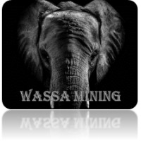 WASSA MINING SAS logo - Similar company to Bafaka Miners