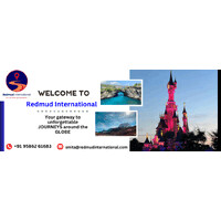 Redmud International logo - Similar company to Dolphin Skin Solutions - India