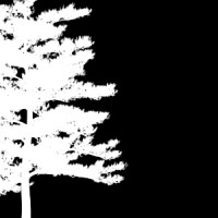 Aspen VG logo - Similar company to Tishman Realty & Construction Co., Inc.