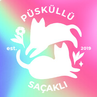Püsküllü Saçaklı Dükkan logo - Similar company to Selben Studio