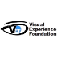 Visual Experience Foundation