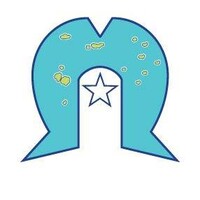 Torres Strait Island Regional Council logo - Similar company to Thinking Cap Solutions