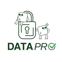 DataPro project logo - Similar company to Cybergeiger