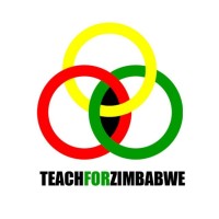 Teach For Zimbabwe logo - Similar company to Democracy 21