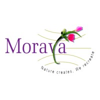 Moraya Global logo - Similar company to Moraya Industries
