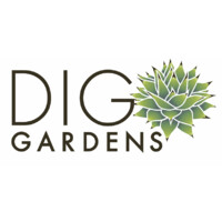 New Paradigm Collective LLC