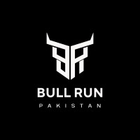 BullRun.pk logo - Similar company to Bitsol Ventures