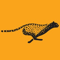 CheetahIQ logo - Similar company to Revpilots