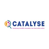 CATALYSE Project EU logo - Similar company to Innonext Technologies