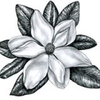 Piedmont Cotillions, LLC logo - Similar company to Chorus