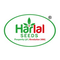 HARLAL SEEDS logo - Similar company to Sai Balaji Digitals Private Limited