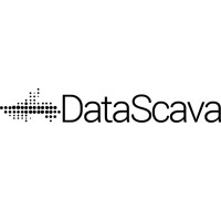 DataScava logo - Similar company to Skillrover Technologies
